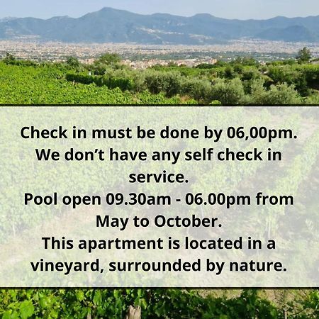 Vesuvio Inn Guest House E Wine Experience Boscotrecase ภายนอก รูปภาพ