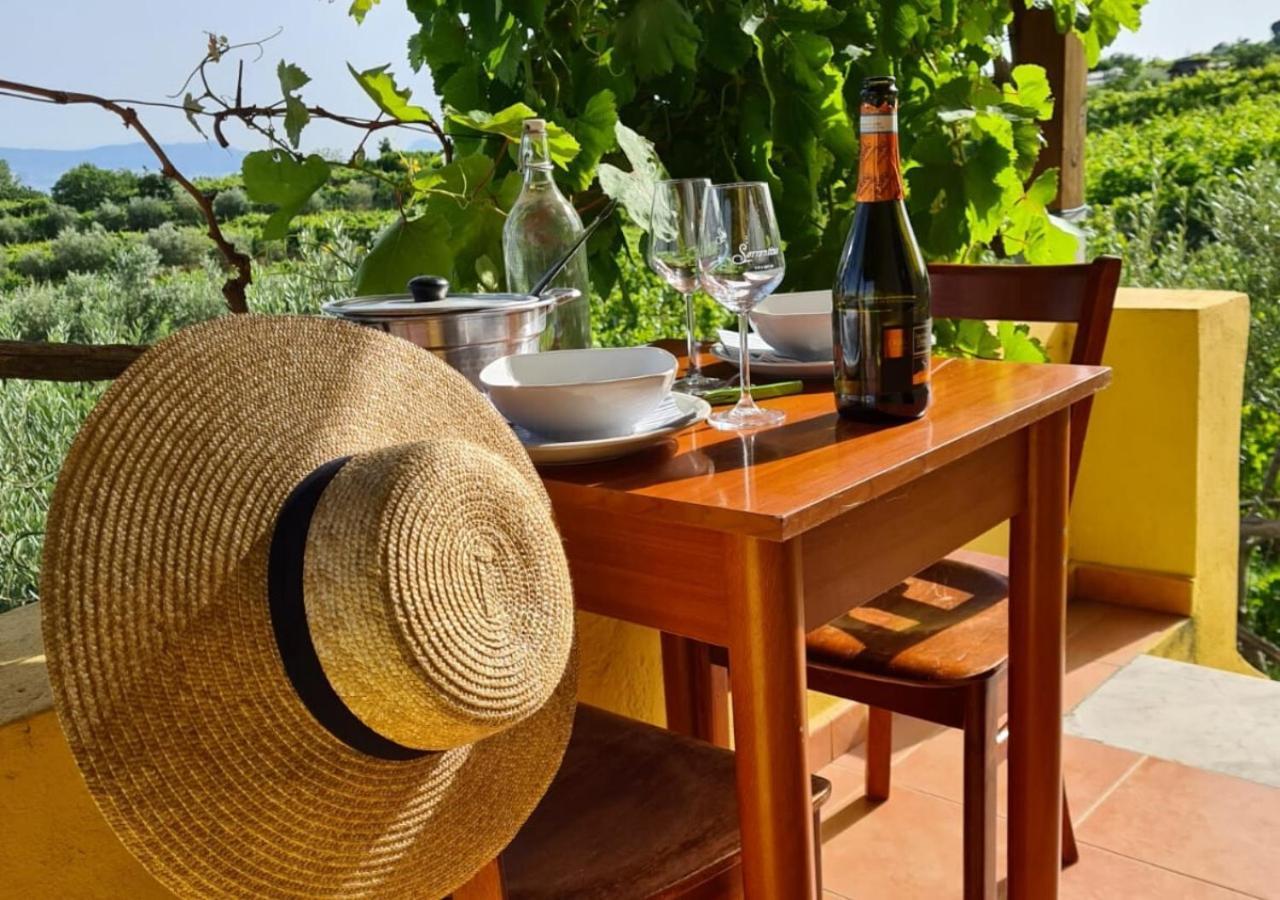 Vesuvio Inn Guest House E Wine Experience Boscotrecase ภายนอก รูปภาพ