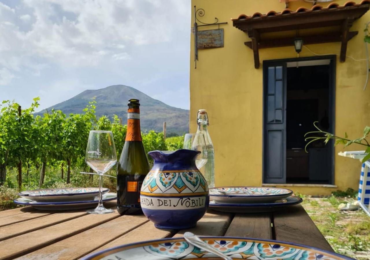 Vesuvio Inn Guest House E Wine Experience Boscotrecase ภายนอก รูปภาพ