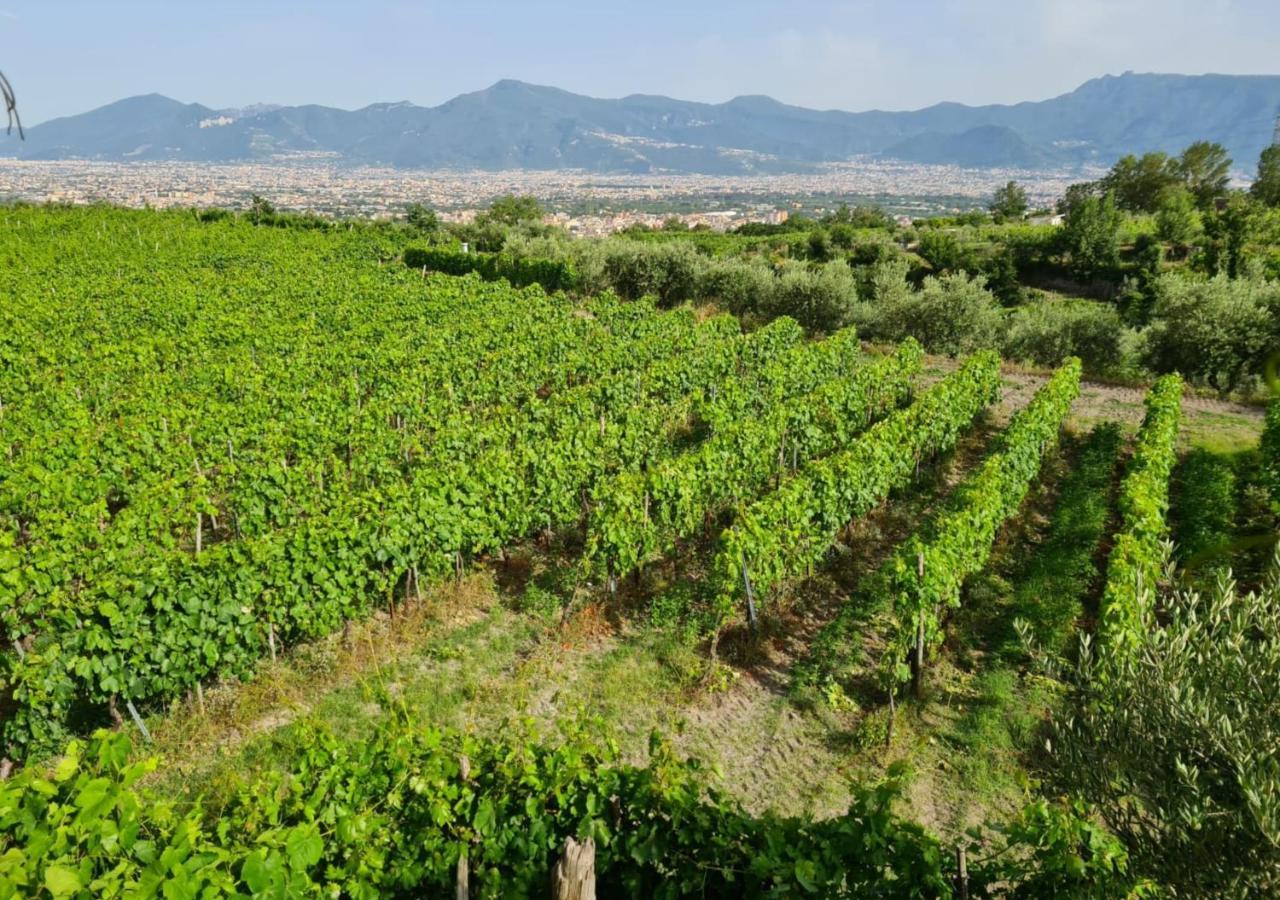 Vesuvio Inn Guest House E Wine Experience Boscotrecase ภายนอก รูปภาพ
