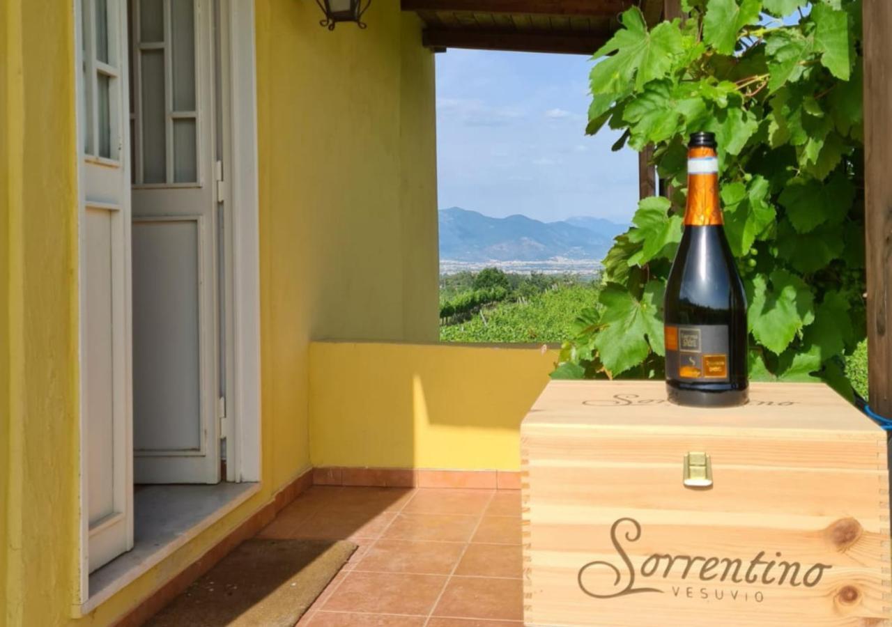 Vesuvio Inn Guest House E Wine Experience Boscotrecase ภายนอก รูปภาพ