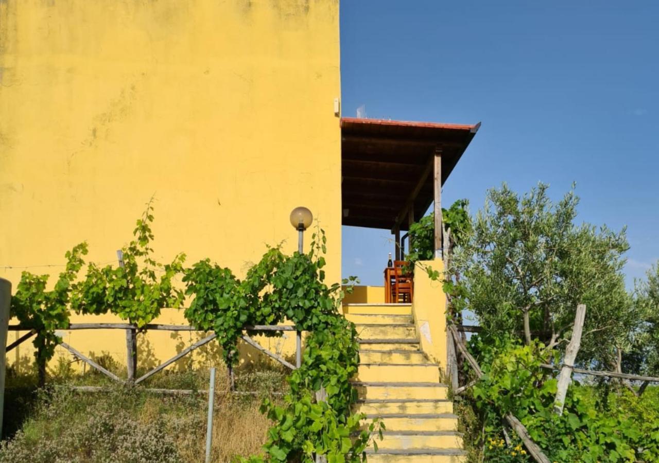 Vesuvio Inn Guest House E Wine Experience Boscotrecase ภายนอก รูปภาพ