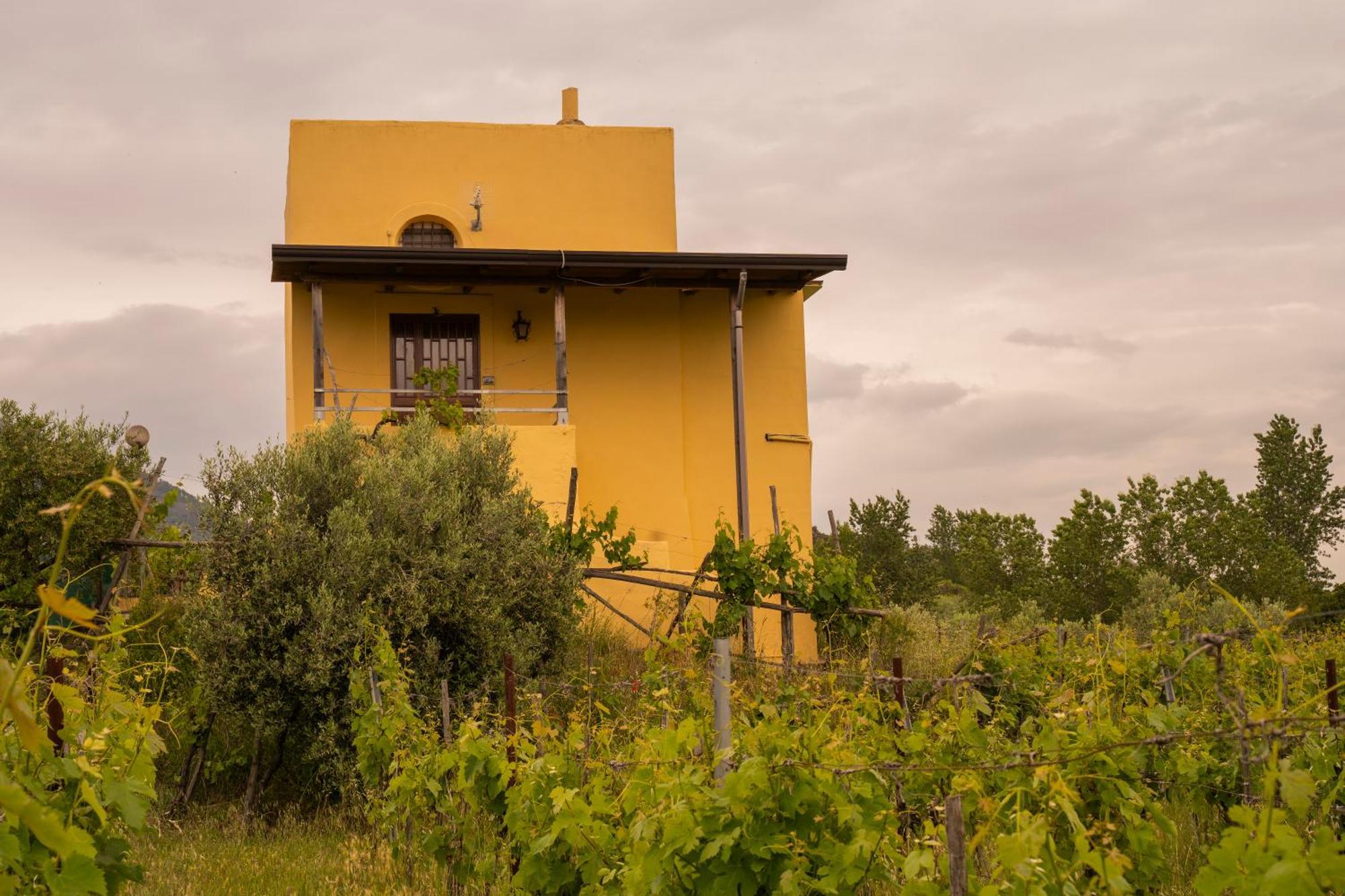 Vesuvio Inn Guest House E Wine Experience Boscotrecase ภายนอก รูปภาพ