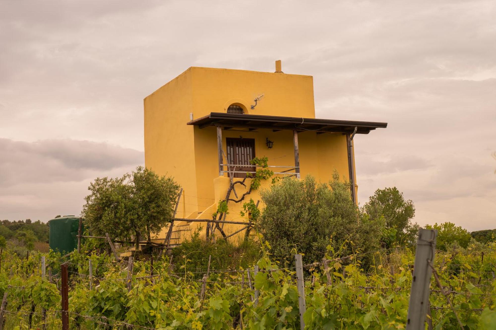 Vesuvio Inn Guest House E Wine Experience Boscotrecase ภายนอก รูปภาพ