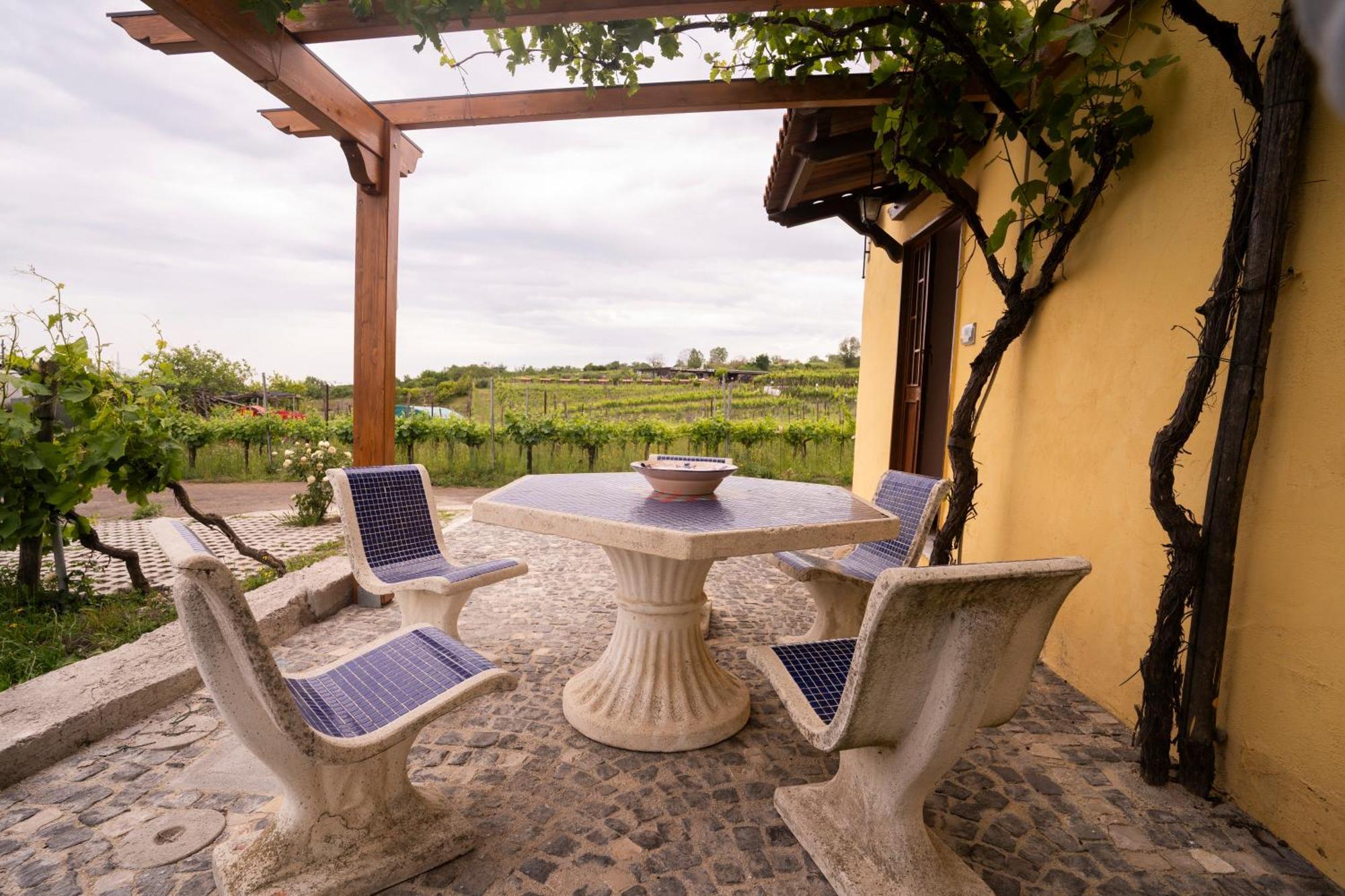 Vesuvio Inn Guest House E Wine Experience Boscotrecase ภายนอก รูปภาพ