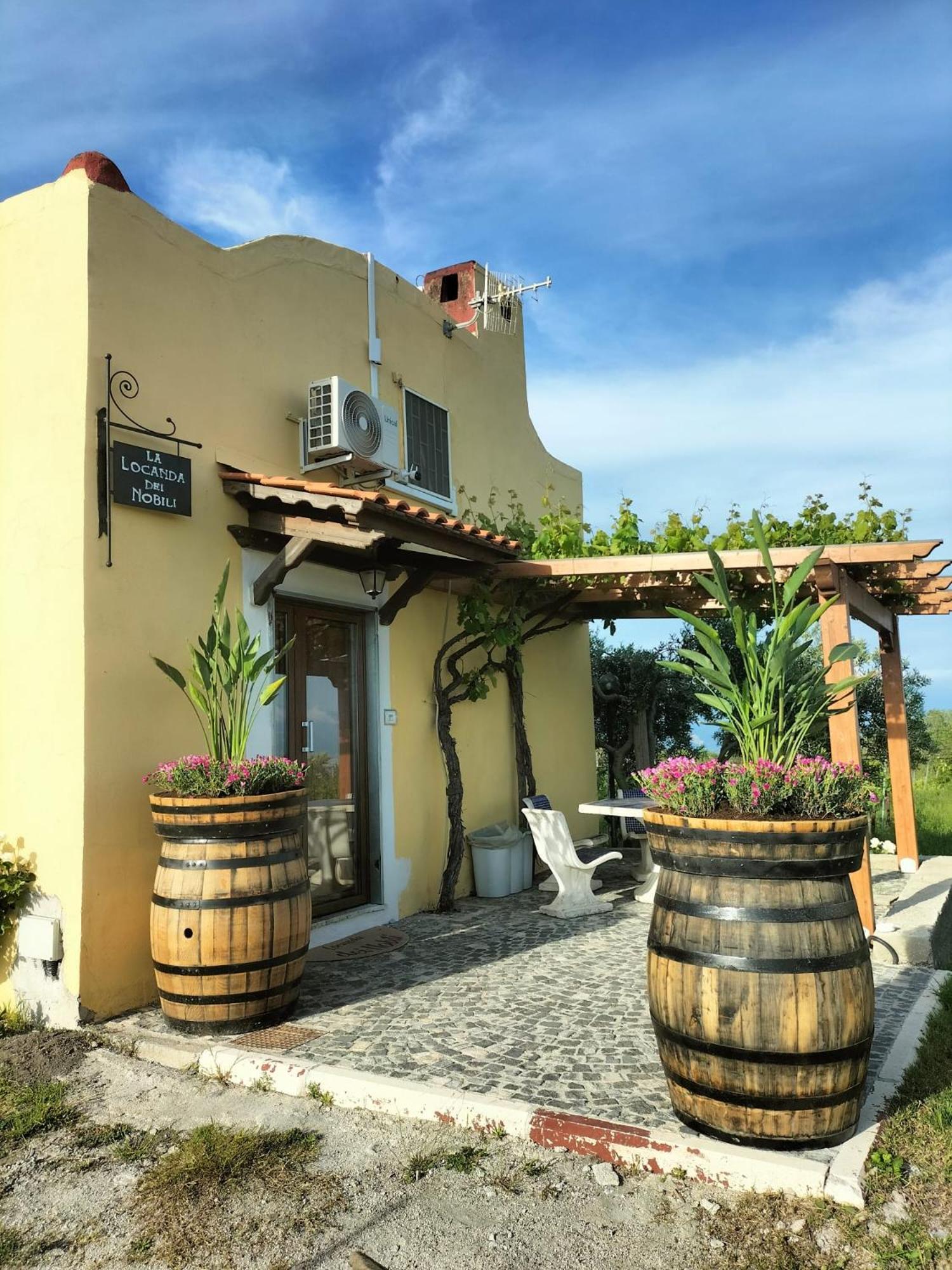 Vesuvio Inn Guest House E Wine Experience Boscotrecase ภายนอก รูปภาพ