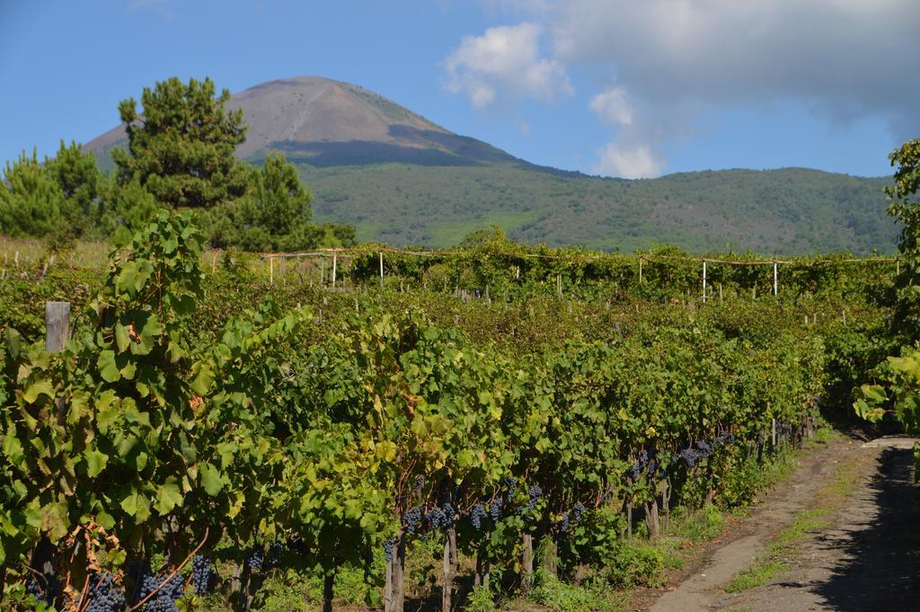 Vesuvio Inn Guest House E Wine Experience Boscotrecase ภายนอก รูปภาพ