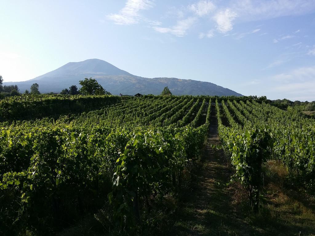 Vesuvio Inn Guest House E Wine Experience Boscotrecase ภายนอก รูปภาพ